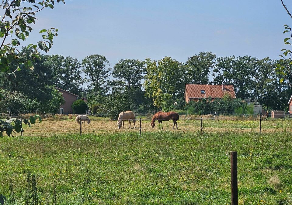 Woning te koop in DIEPENBEEK